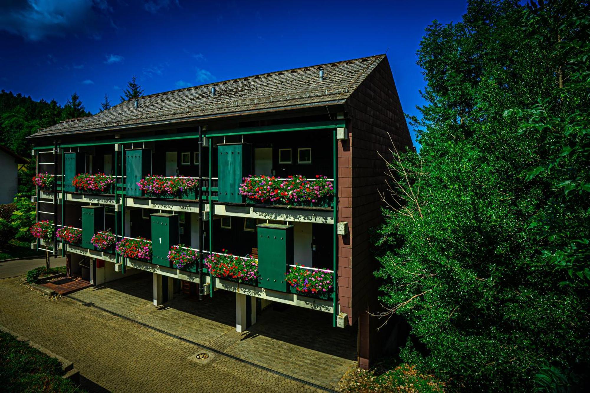 Natur Tanken Im Schwarzwald 萨巴赫瓦登 外观 照片