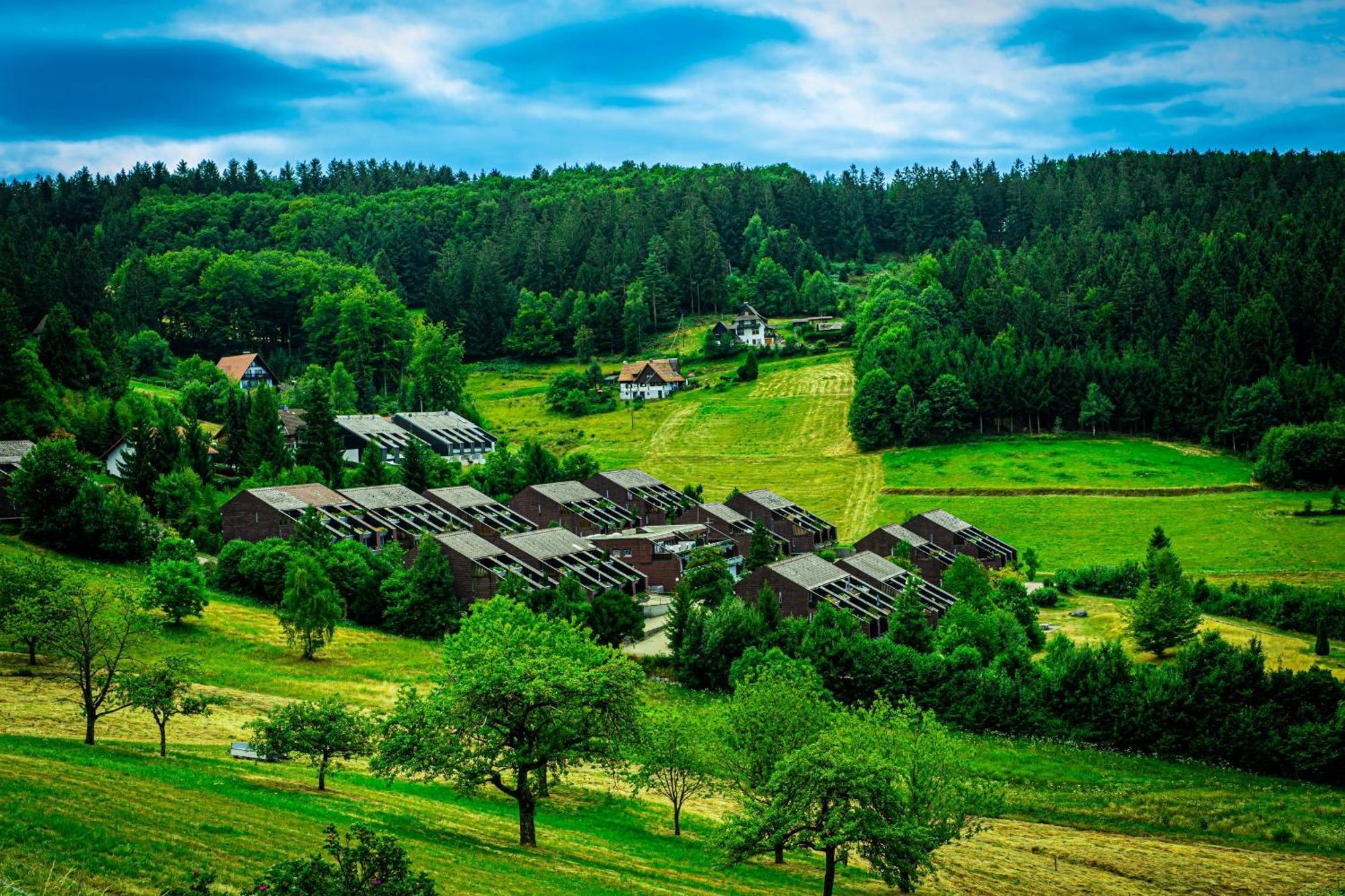 Natur Tanken Im Schwarzwald 萨巴赫瓦登 外观 照片